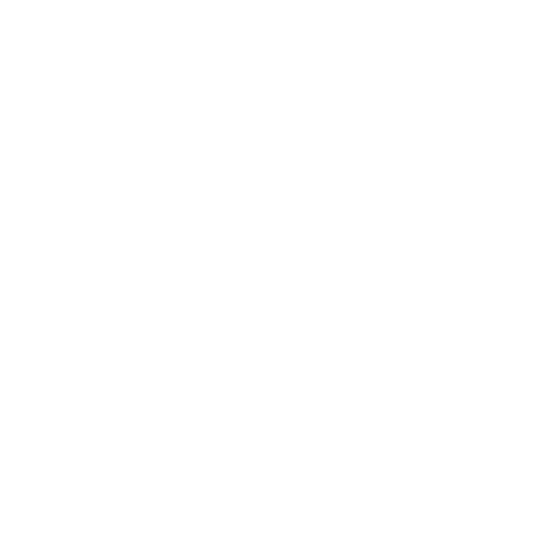 Del Castillo Brand Management