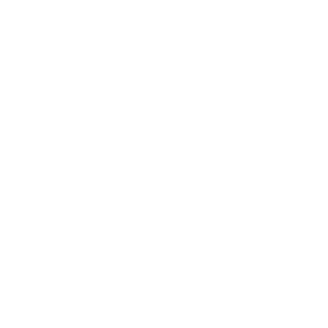 Del Castillo Brand Management