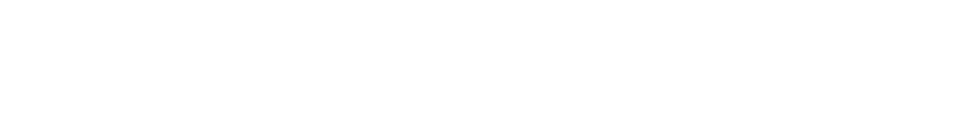 Del Castillo Brand Management